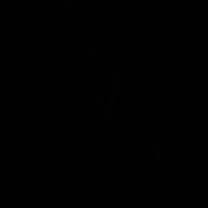 Meet your Posher, Jesser